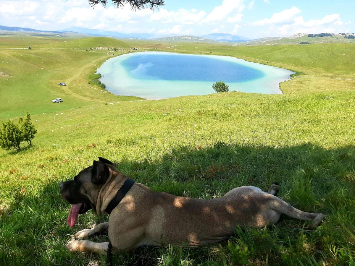 Willa Etno Idila D&D Žabljak Zewnętrze zdjęcie